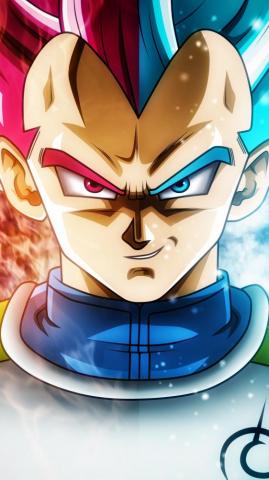 Vegeta Blue And Red Wallpaper Teahub Io