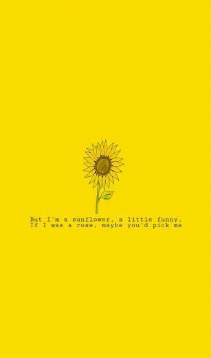 Poema De Sierra Burgess Es Una Loser Wallpaper En