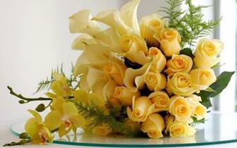 Yellow Roses Wallpaper HD Topwallpaper