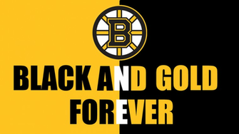 Boston Bruins Wallpaper By Botulizard