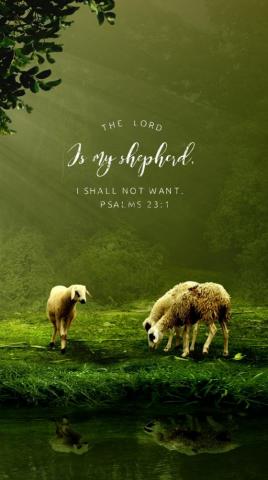 Beautiful Bible Quotes Verses