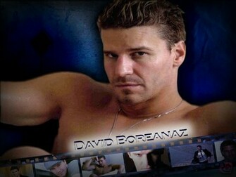 David B Boreanaz Wallpaper