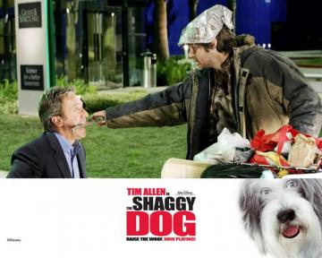 The Shaggy Dog Wallpaper Wallpoper