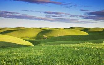 Grassy Hills Wallpaper Desktop