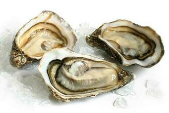 An Ongoing Norovirus Outbreak Tied To Oysters In British Columbia
