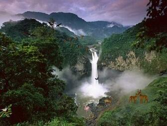 Nature Screensaver Eagles Kingdom Fullscreensavers