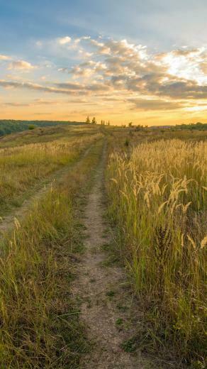 Pastoral Road Wallpaper For Motorola Moto X
