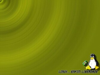 Window Linux Wallpaper Pack Cute Girls Celebrity