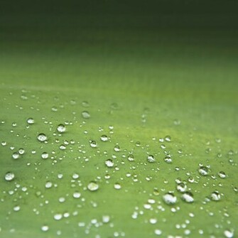 Galaxy S3 Green HD Wallpaper