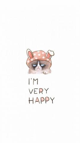 Wallpaper Background Funny Background Android