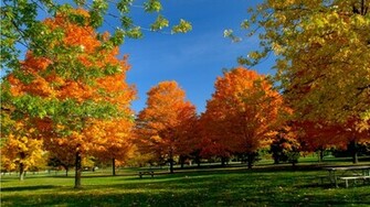 Autumn Scenes Wallpaper In HD