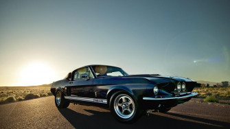Mustang HD Wallpaper High Quality