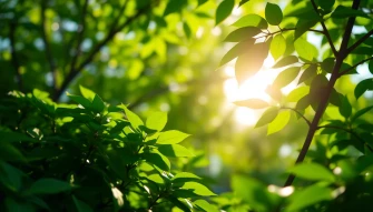 Digital Green Wallpaper