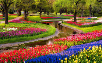 Wallpaper Id Spring Tulips Trees Park 2k Beautiful