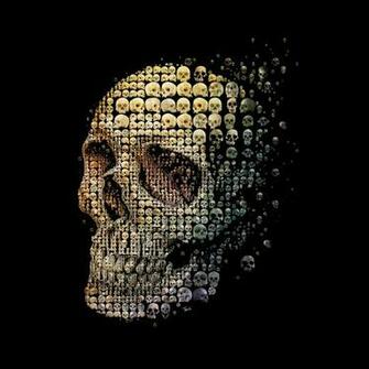 Skull Evolution Cool iPad Air Wallpaper