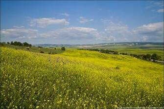 Summer In Ukraine Wallpaper