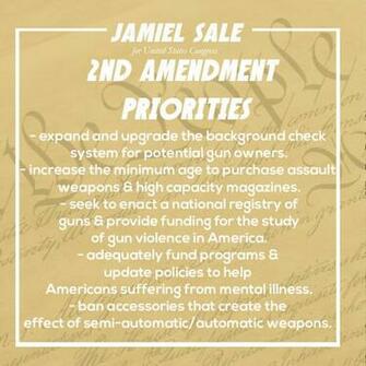 2nd Amendment Background Image In Collection
