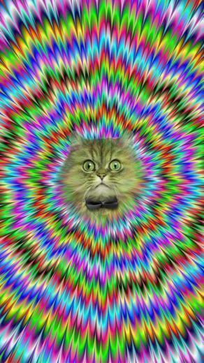 Psychedelic Cat iPhone Wallpaper