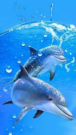 Galaxy S3 Wallpaper HD Beautiful Stunning