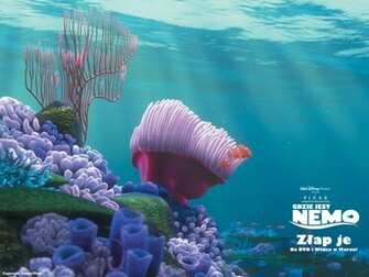 Finding Nemo Wallpaper