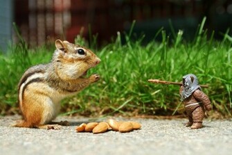 Funny Nature Wallpaper Pictures HD