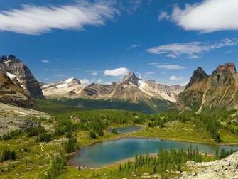 Outdoor Wallpaper