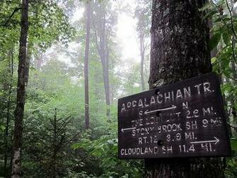 The Trail Was Gorgeous And All Of Our Pain Agony Brought Us Many