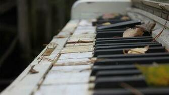 Old Piano Keyboard Wallpaper Photography