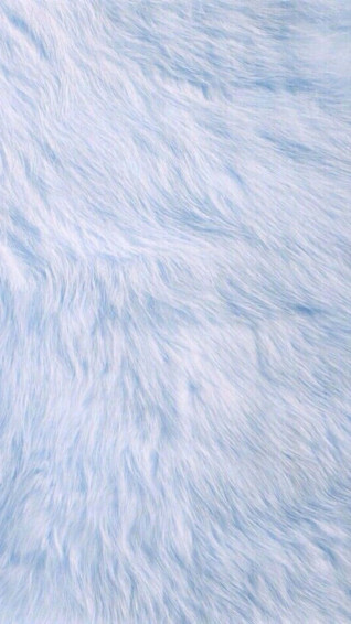 Animal Fur Wallpaper
