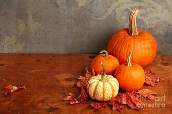 Decorative Fall Pumpkins By Verena Matthew