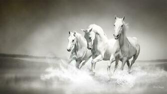 Beautiful Horse Wallpaper