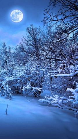 Sign In iPhone Wallpaper Winter Background