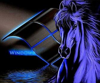 Horse Wallpaper Image Windows Best HD
