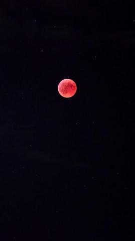 Wallpaper Full Moon Red Night Sky