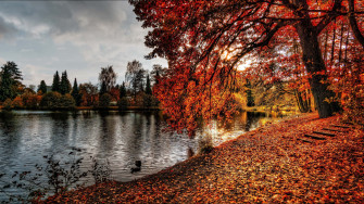 Feel The Air Of Fall With This Stunning 4k Autumn Wallpaper