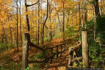Toms Hiking And Photography Fall Wallpaper