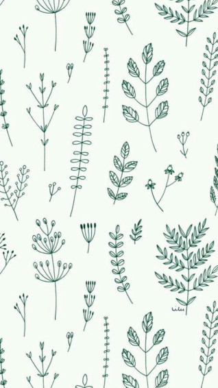 Aalya Raqeema On Pictures Plant Wallpaper iPhone