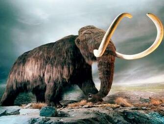 Mammut World Of Animals From The Past HD Wallpaper Wallpaper13