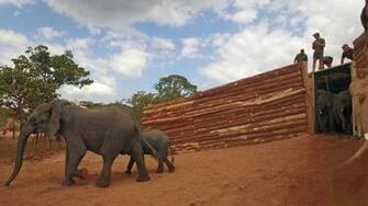 Central African Wilderness Safaris Travel And Holidays