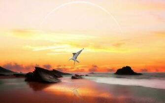 Animal Wallpaper Dom Of Flying Seagulls HD Desktop