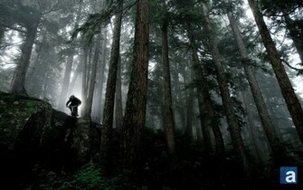 Mountain Bike Wallpaper
