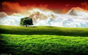 HD Wide Screen Beautiful Wallpaper High Definition