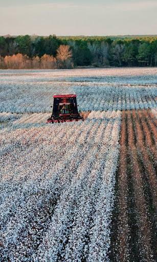 Case Ih Computer Wallpaper App For