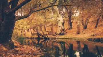 Fall Aesthetic Wallpaper HD For Desktop Cool