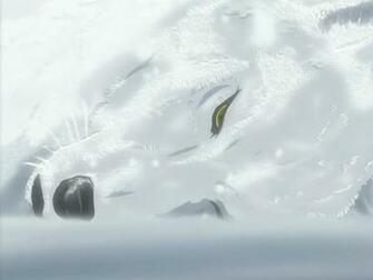 Wolfs Rain Wallpaper Wallpoper