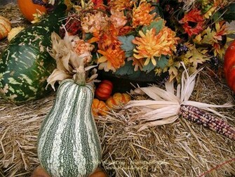 Happy Thanksgiving Scene Wallpaper HD