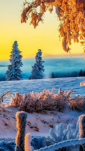 Beautiful Winter Sunrise 4k Ultra HD Wallpaper Net