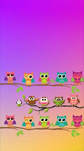 Cute Owl Wallpaper Owls