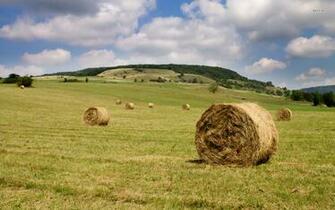 Hay Bales Wallpaper Nature