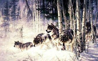 Wolfpack Wallpaper Related Keywords Amp Suggestions